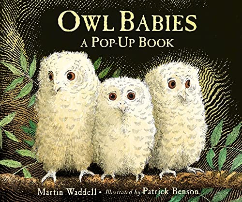 Owl Babies by Martin Waddell - Bedtime Story