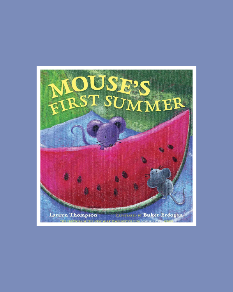 Books For Toddlers: Best Books for 2-3 year olds - Mouse's First Summer