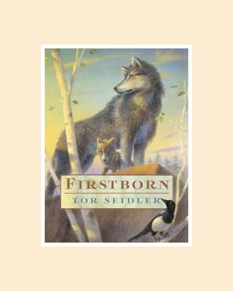 Firstborn  - Book Subscription Box with Books for Ages 11 to 12